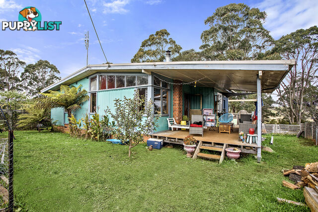 21 Hollibone Street DORRIGO NSW 2453