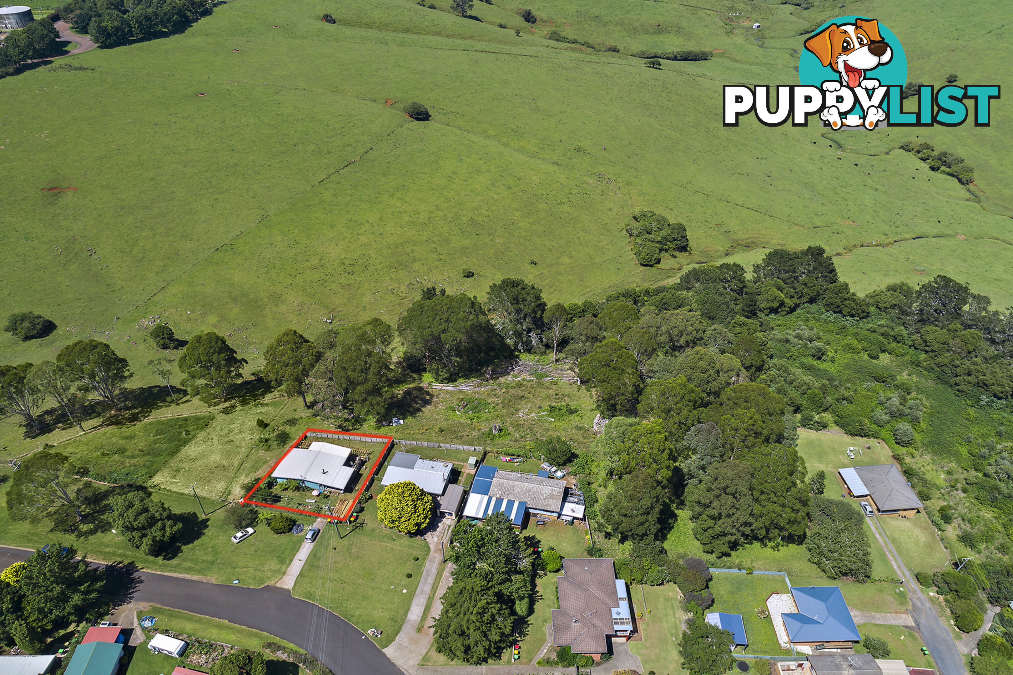 21 Hollibone Street DORRIGO NSW 2453