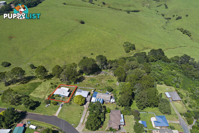 21 Hollibone Street DORRIGO NSW 2453