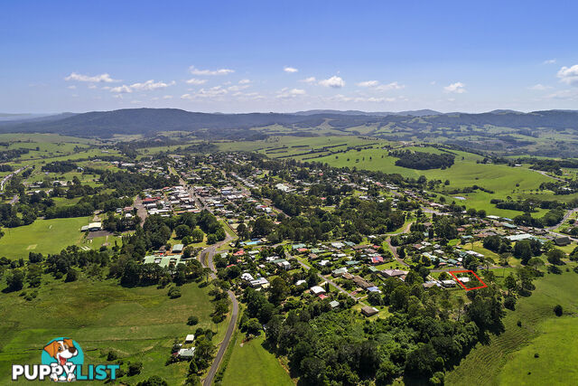 21 Hollibone Street DORRIGO NSW 2453