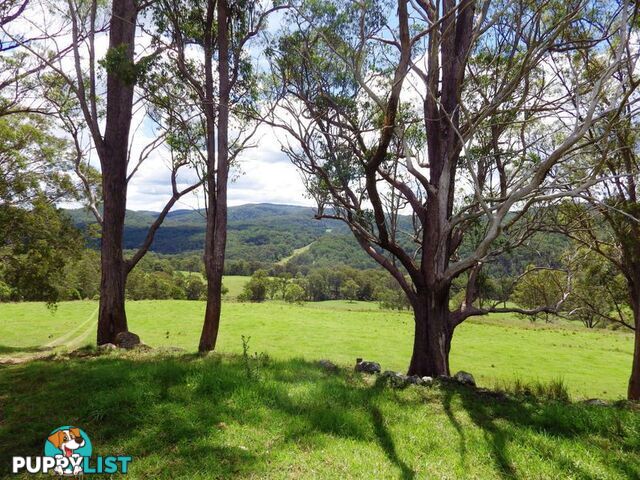 116 Mollydale Road TYRINGHAM NSW 2453