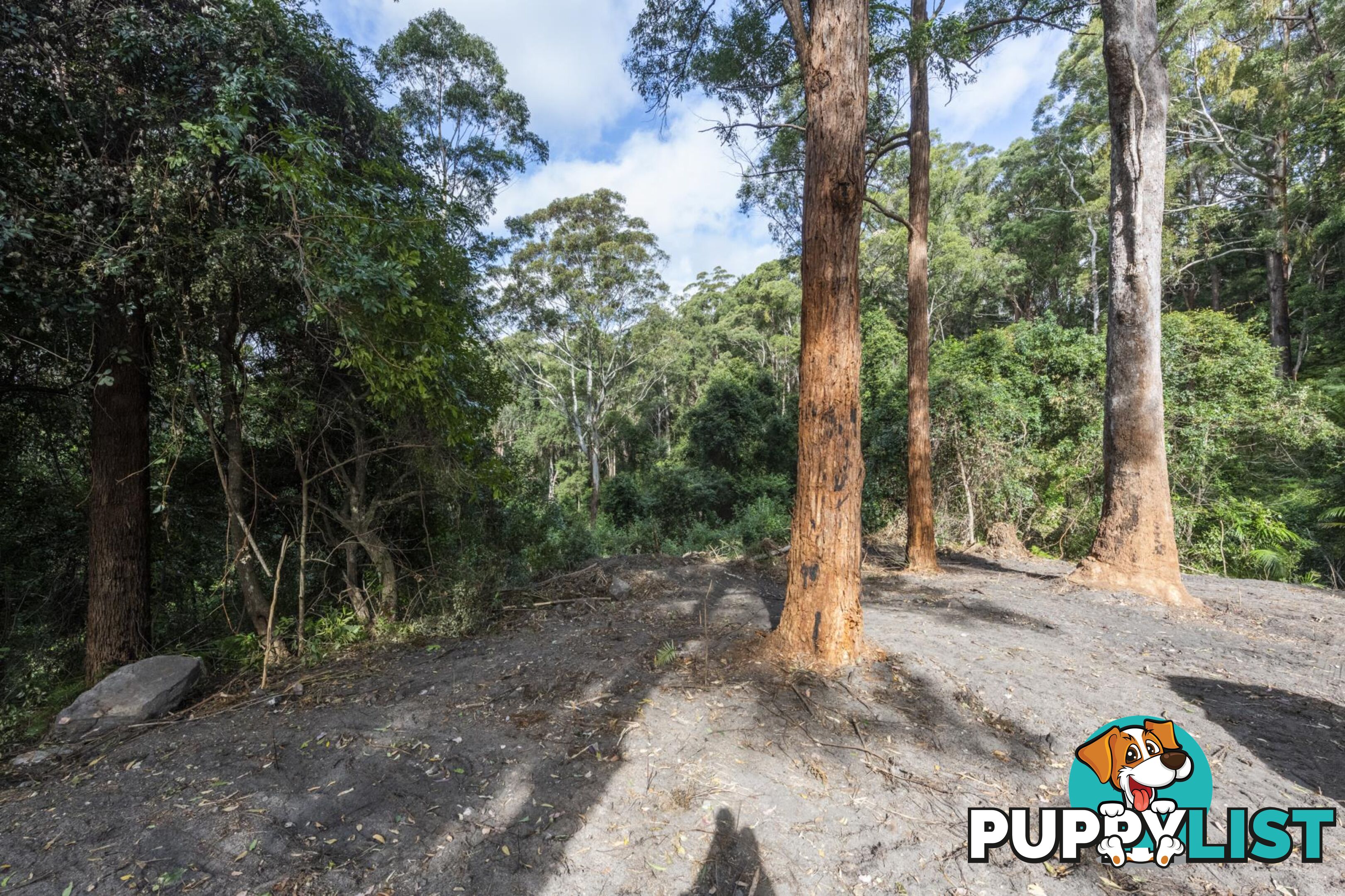 1458 Sherwood Creek Road, UPPER CORINDI NSW 2456