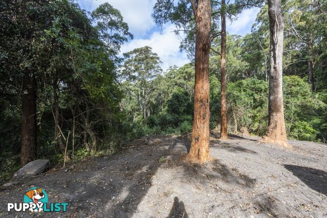 1458 Sherwood Creek Road, UPPER CORINDI NSW 2456