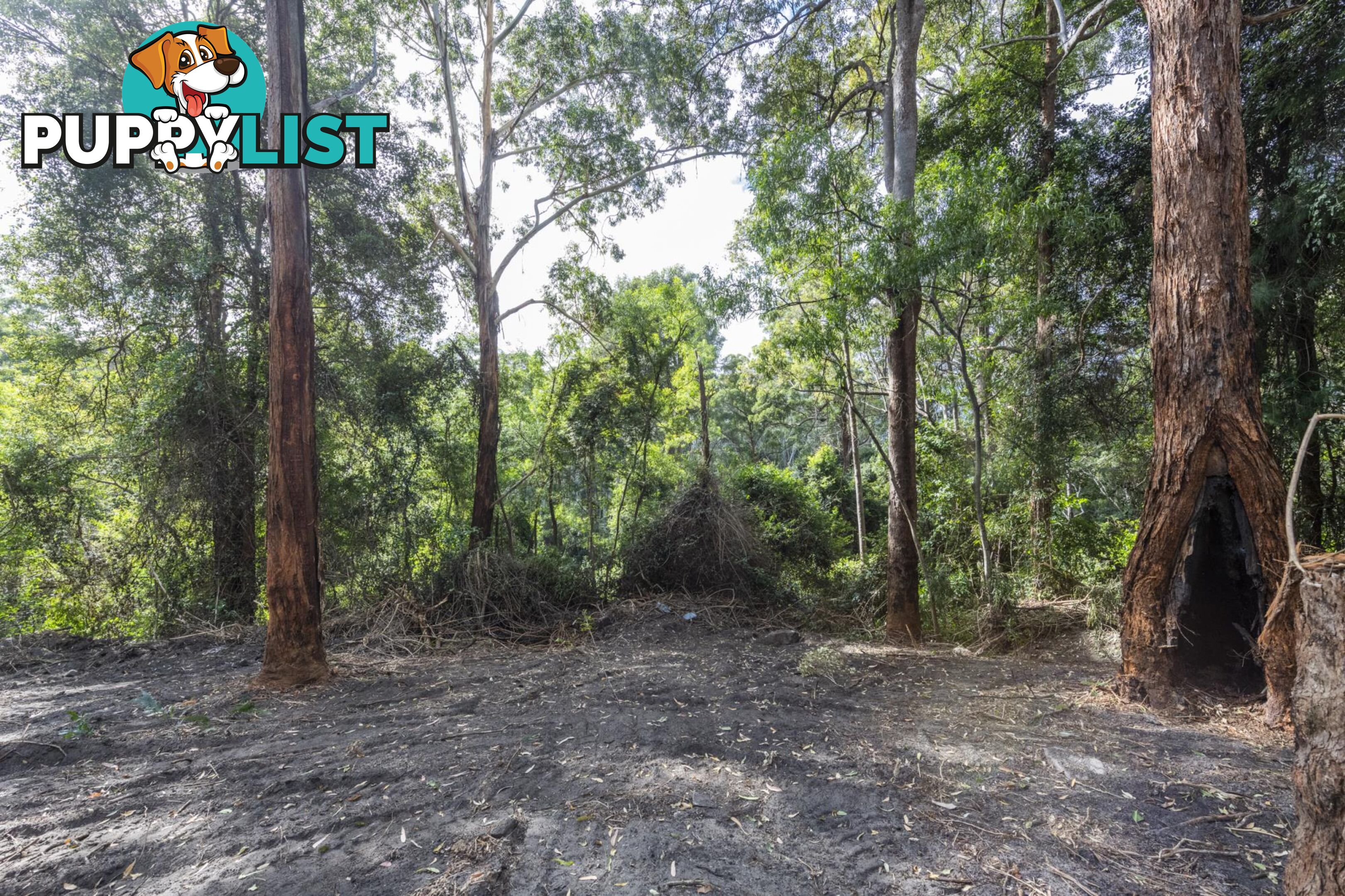 1458 Sherwood Creek Road, UPPER CORINDI NSW 2456