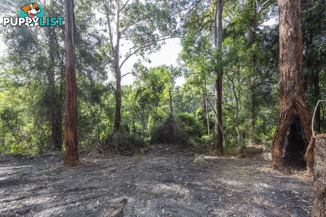 1458 Sherwood Creek Road, UPPER CORINDI NSW 2456