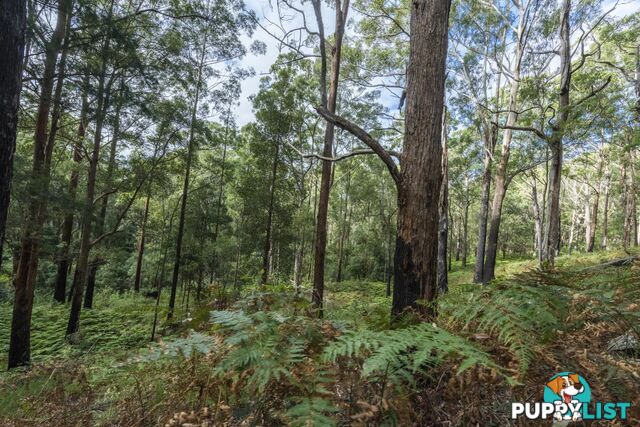 1458 Sherwood Creek Road, UPPER CORINDI NSW 2456