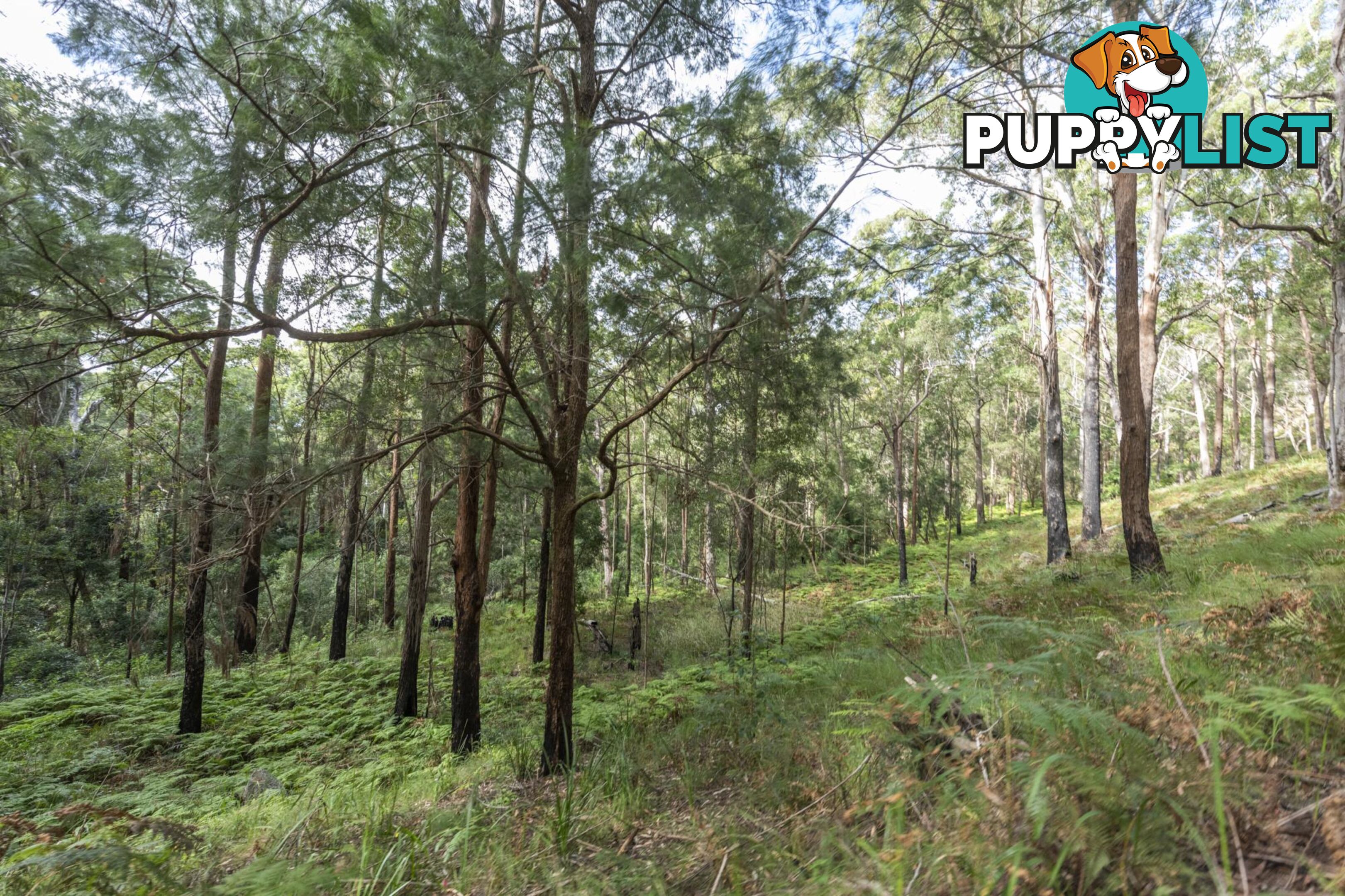 1458 Sherwood Creek Road, UPPER CORINDI NSW 2456