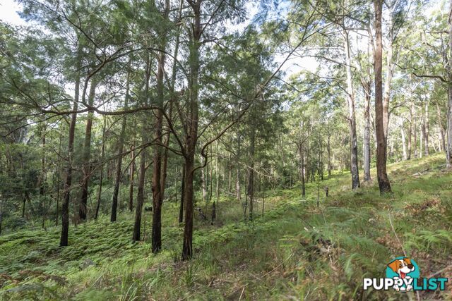 1458 Sherwood Creek Road, UPPER CORINDI NSW 2456