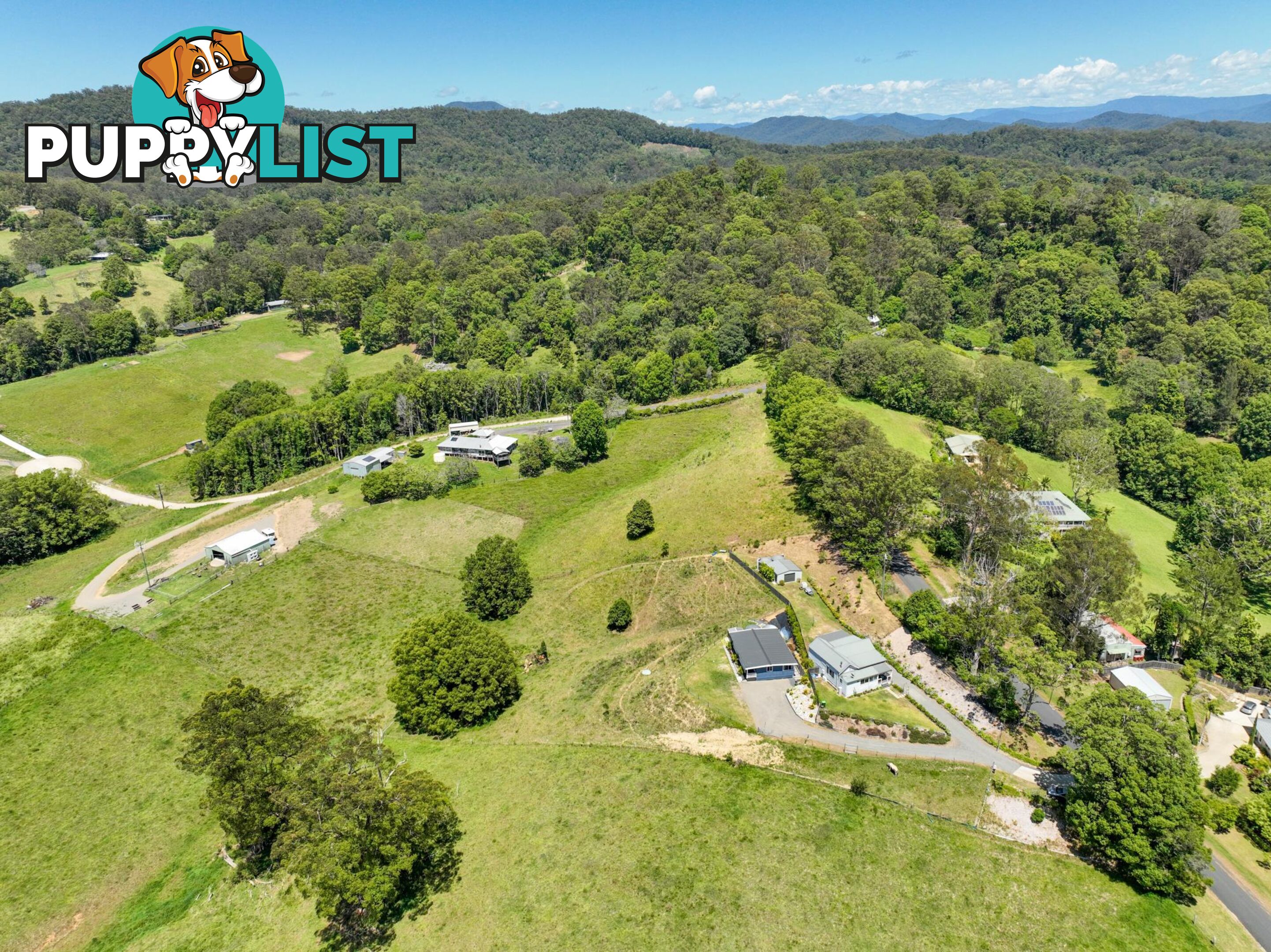 39 Old Brierfield Road BELLINGEN NSW 2454