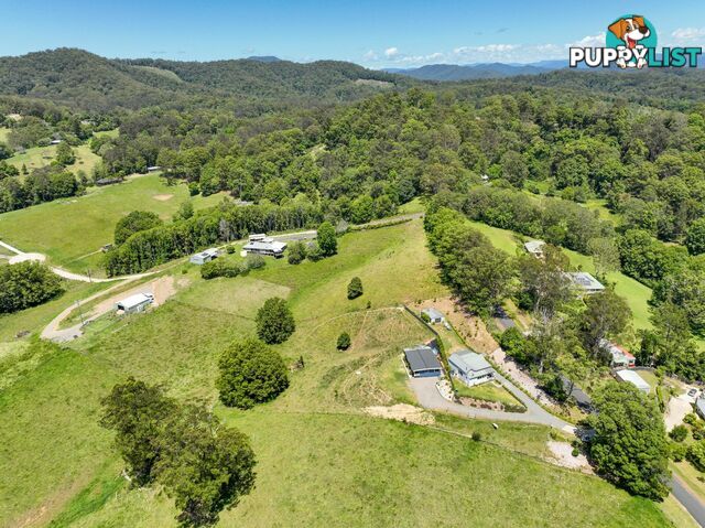 39 Old Brierfield Road BELLINGEN NSW 2454