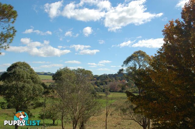 9 Hickory Street DORRIGO NSW 2453