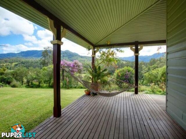 153 Darkwood Road THORA NSW 2454