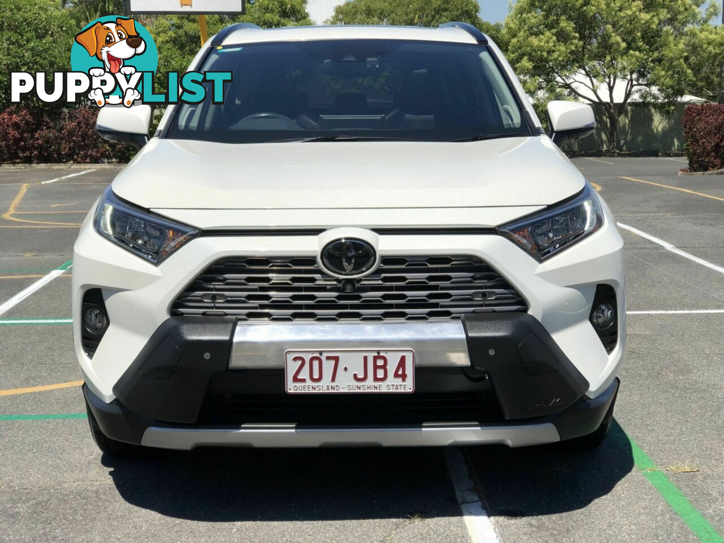 2019 TOYOTA RAV4 CRUISER 2WD MXAA52R WAGON