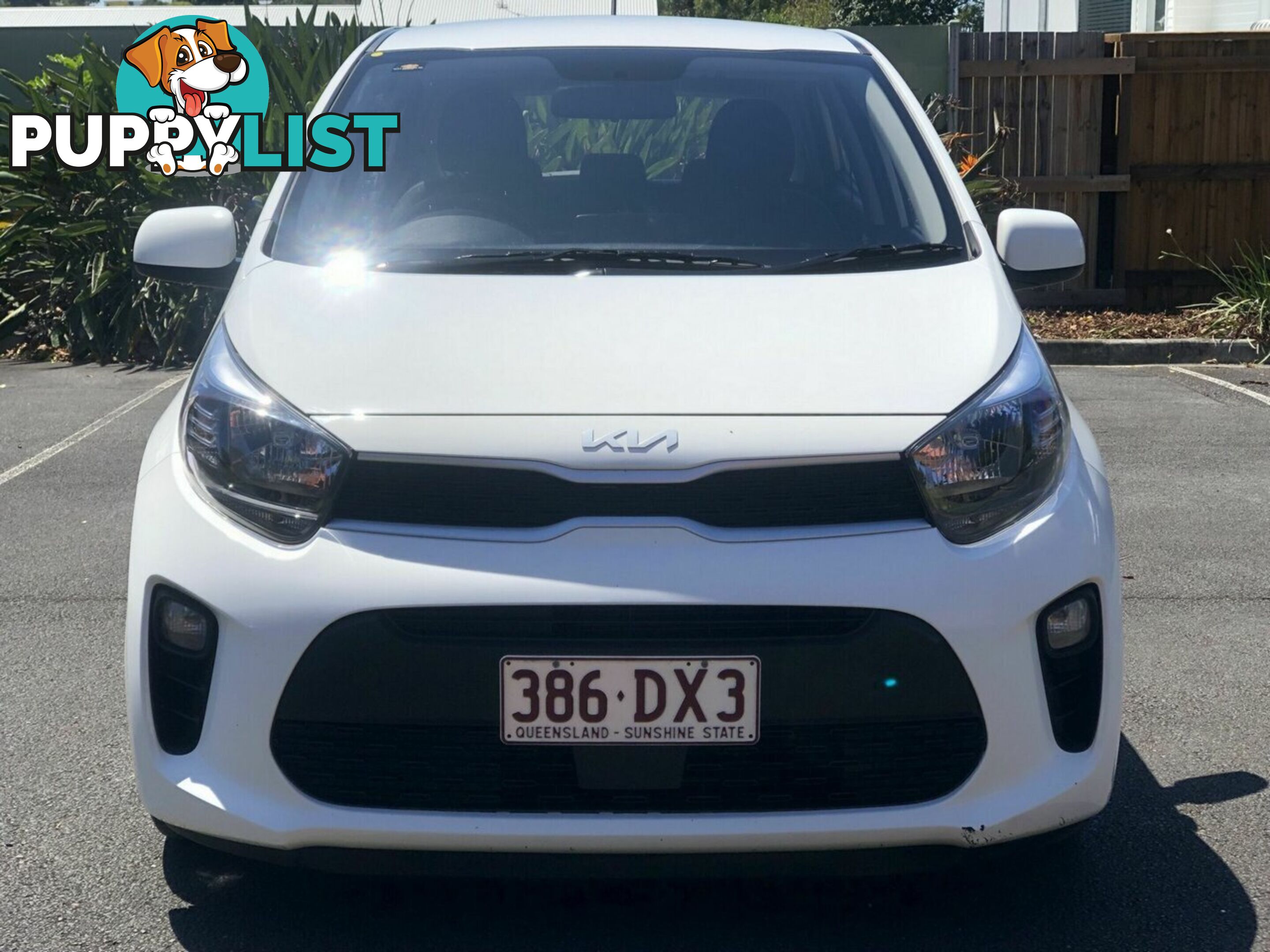 2021 KIA PICANTO S JA MY22 HATCHBACK