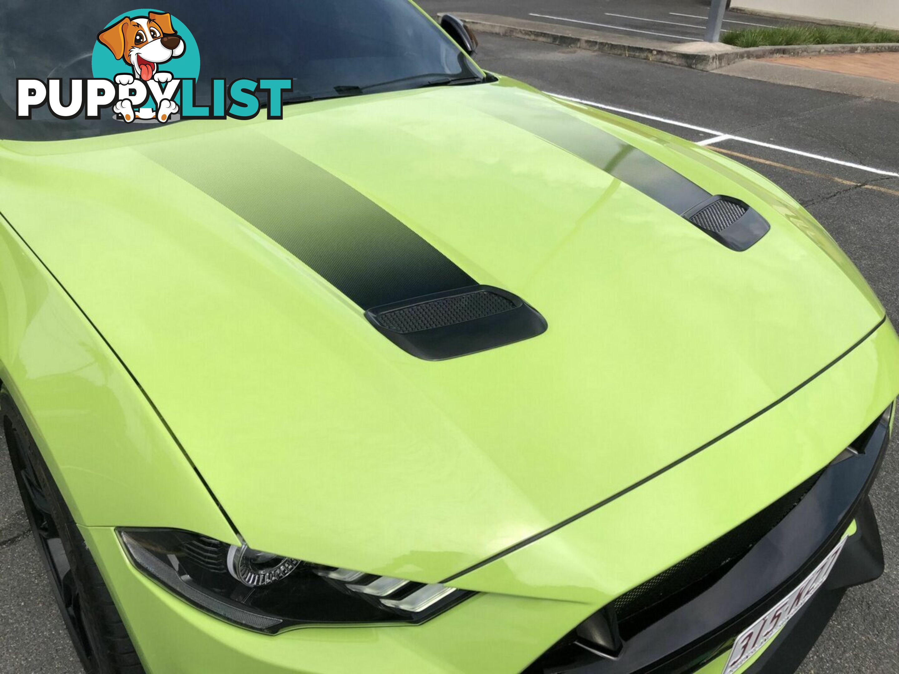 2019 FORD MUSTANG GT FN 2020MY FASTBACK - COUPE