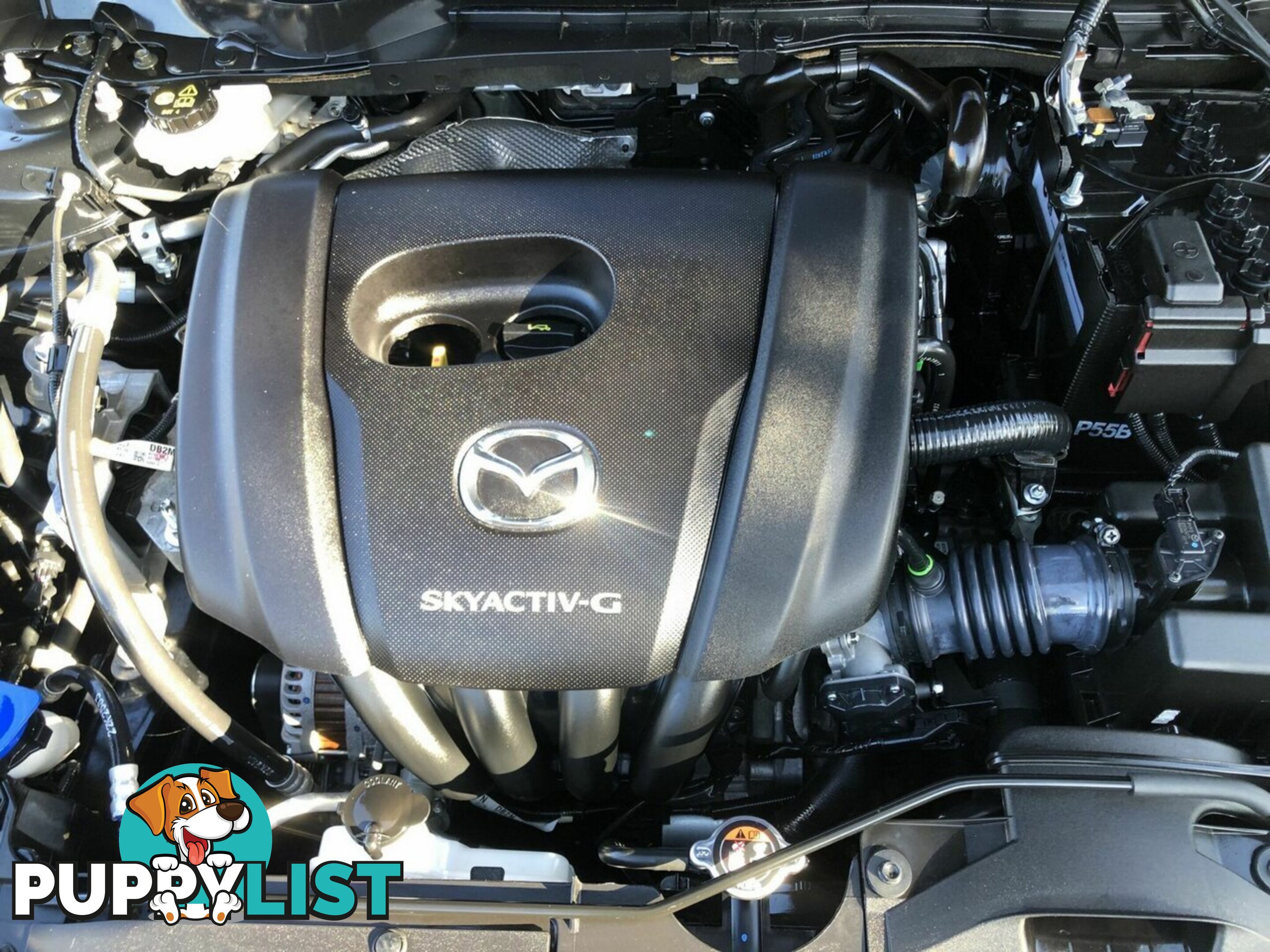 2022 MAZDA 2 G15 SKYACTIV-DRIVE EVOLVE DJ2HAA HATCHBACK