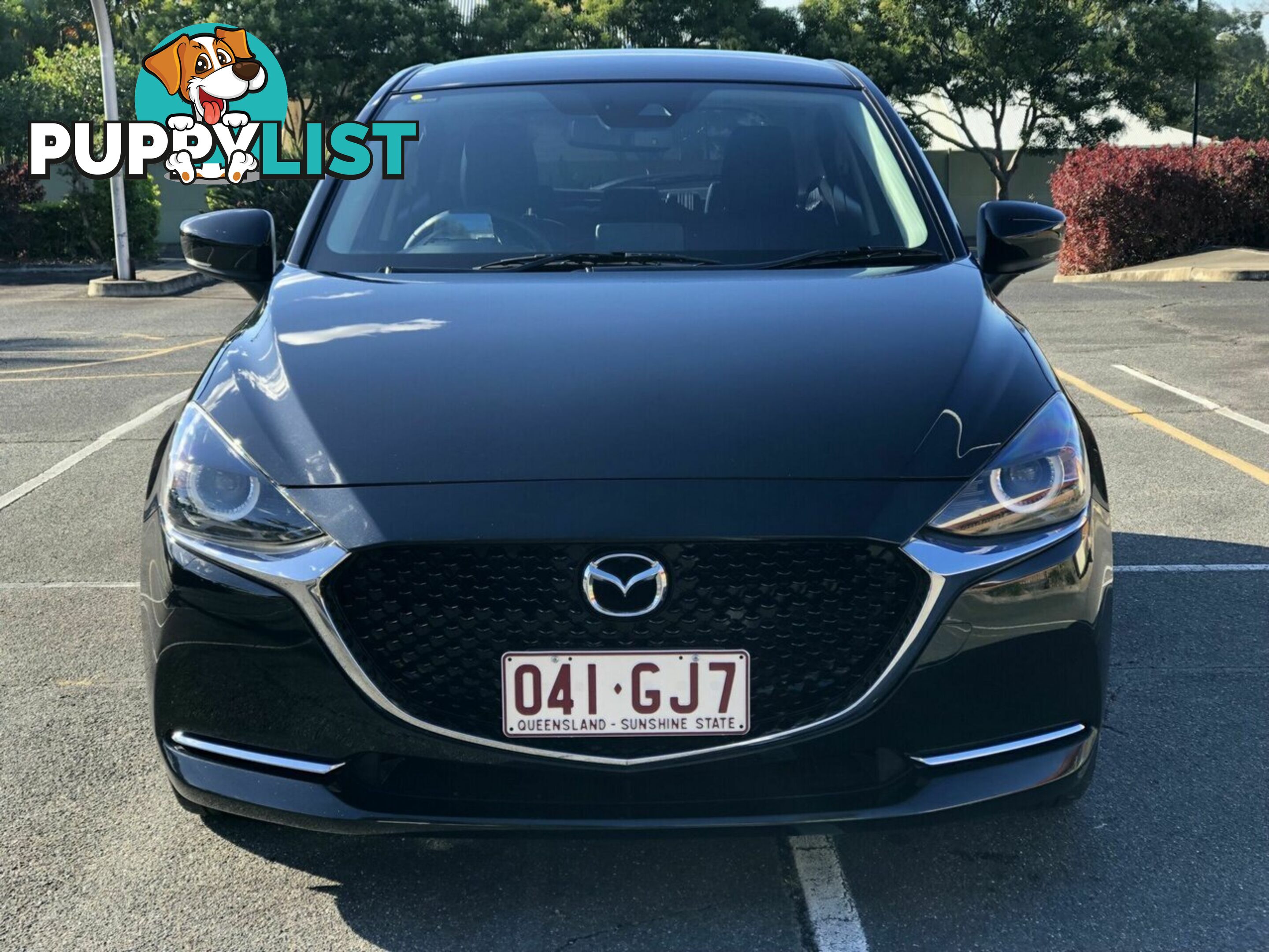 2022 MAZDA 2 G15 SKYACTIV-DRIVE EVOLVE DJ2HAA HATCHBACK