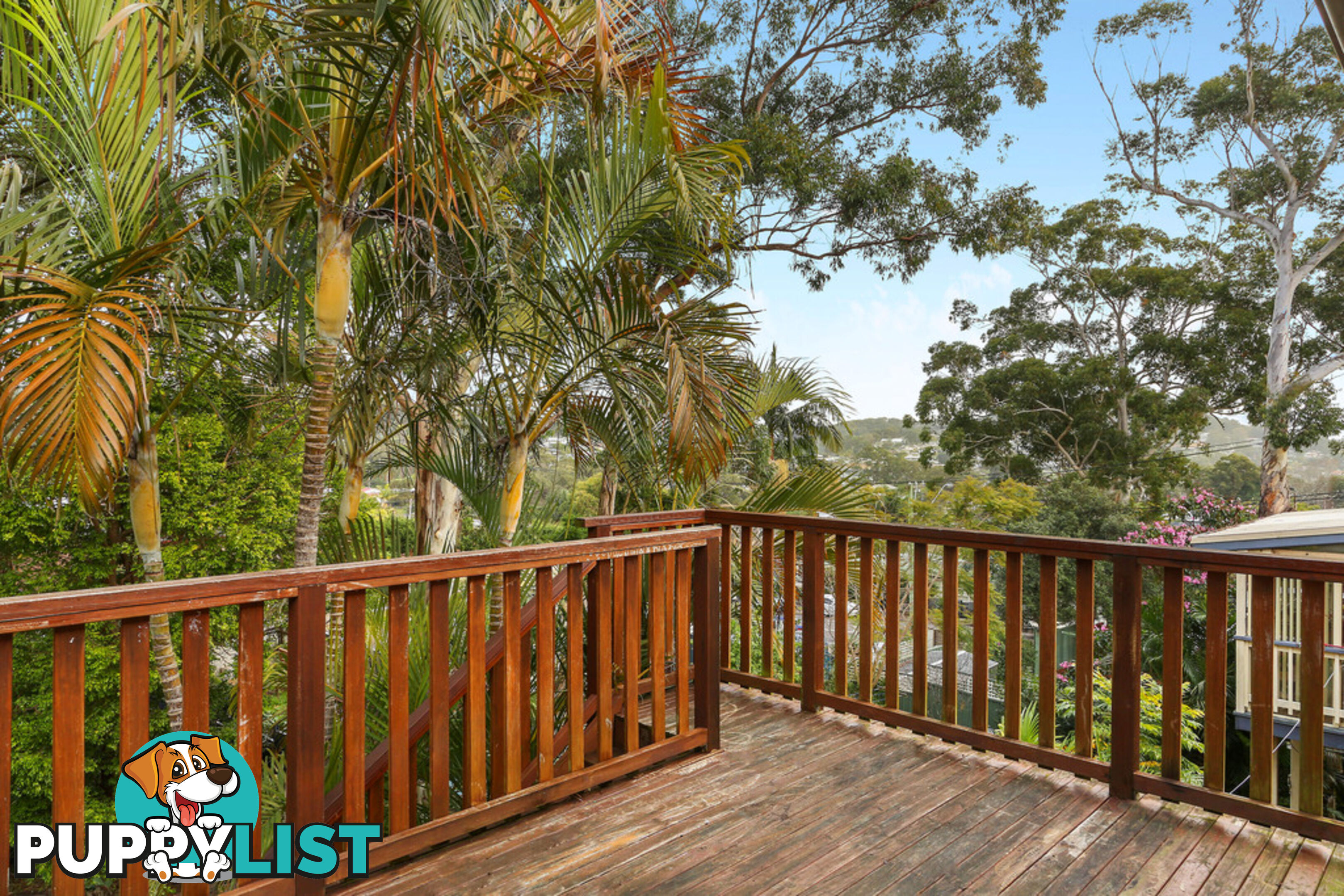 6 Llewellyn Street SARATOGA NSW 2251