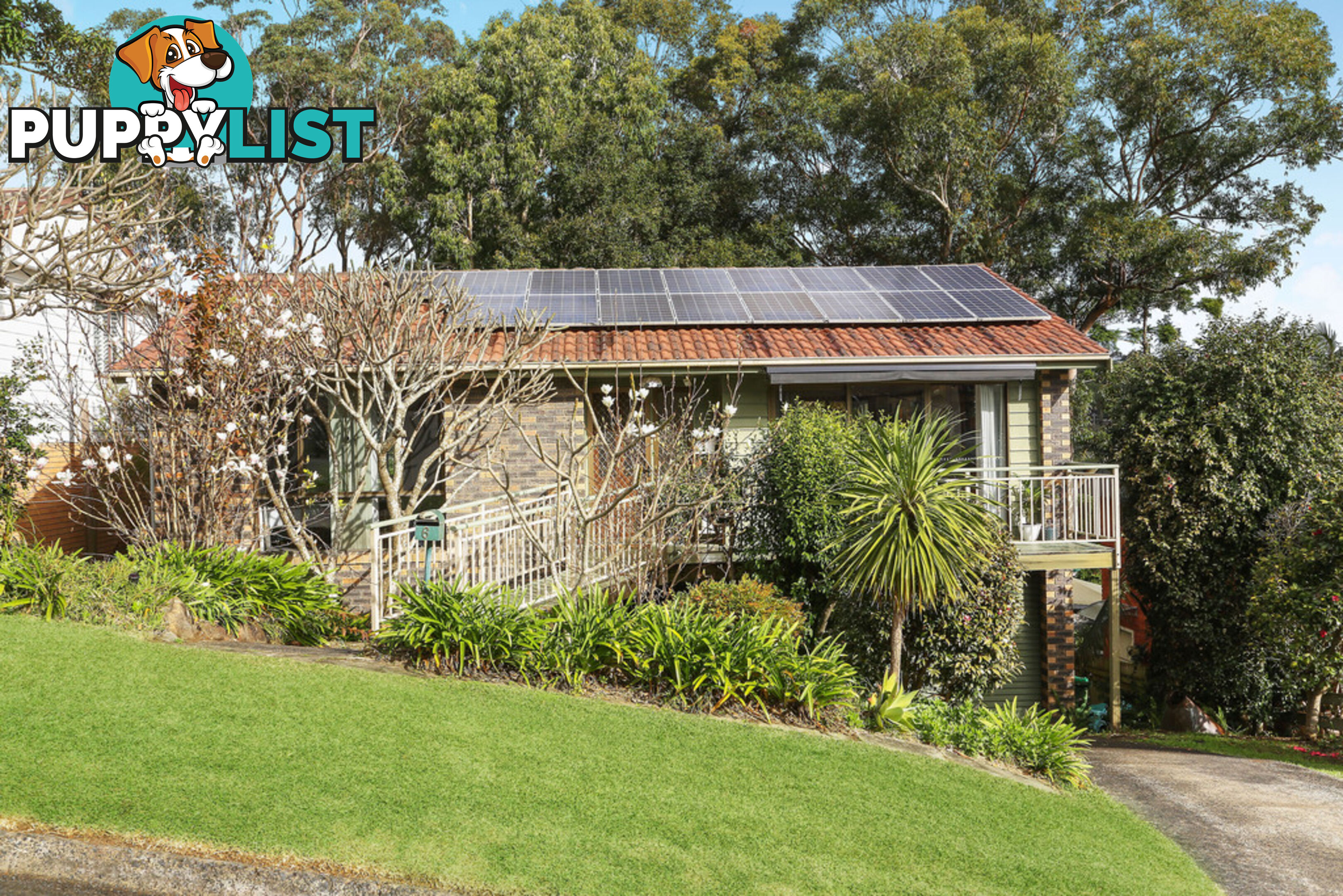 6 Llewellyn Street SARATOGA NSW 2251