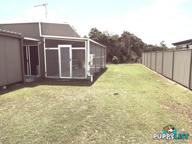 5 Tulipwood Drive BURRUM HEADS QLD 4659