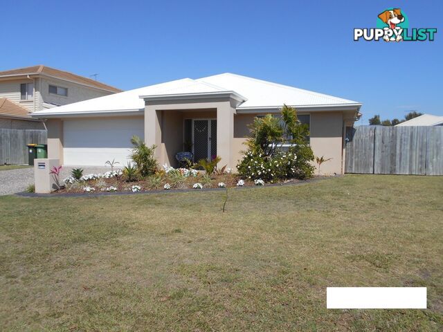 13 Treefrog St NINGI QLD 4511