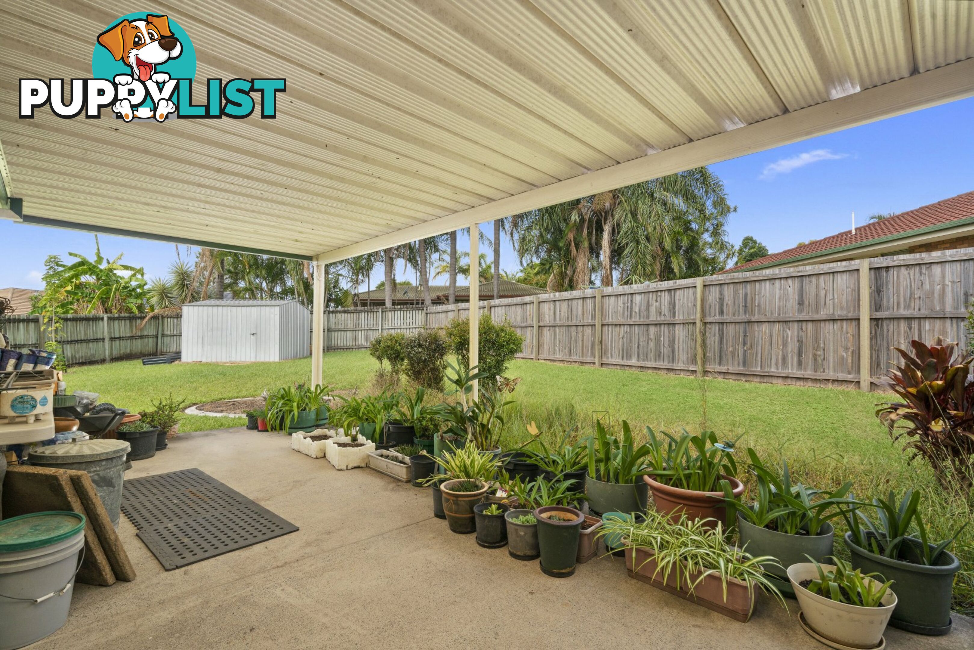 13 Brownia Court MORAYFIELD QLD 4506