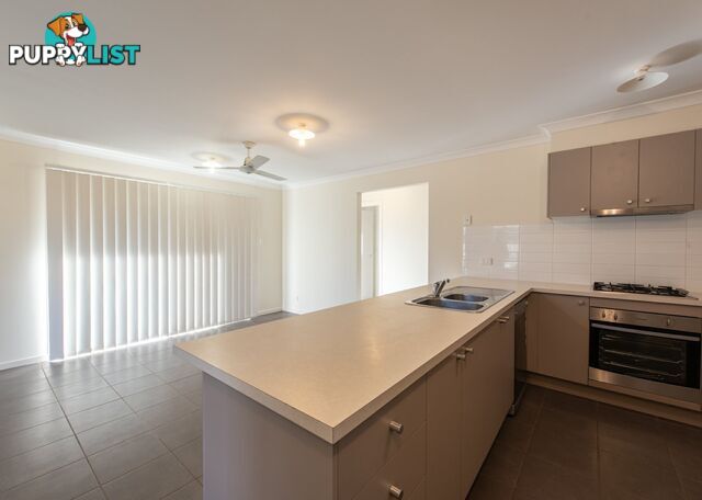 6 Eucalyptus Street NINGI QLD 4511