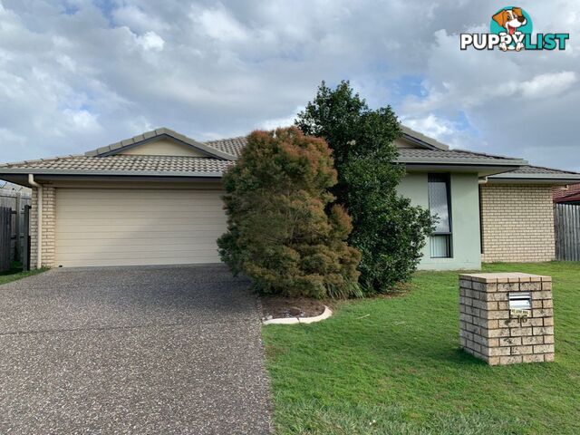 16 Sapelli Street MORAYFIELD QLD 4506