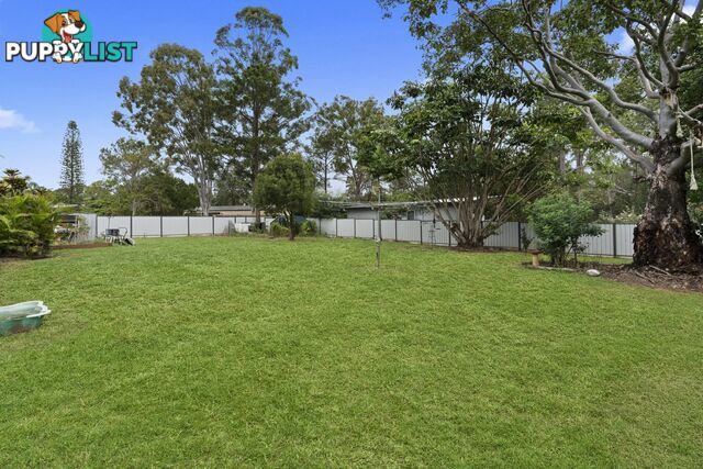 6 Thornbill Drive UPPER CABOOLTURE QLD 4510