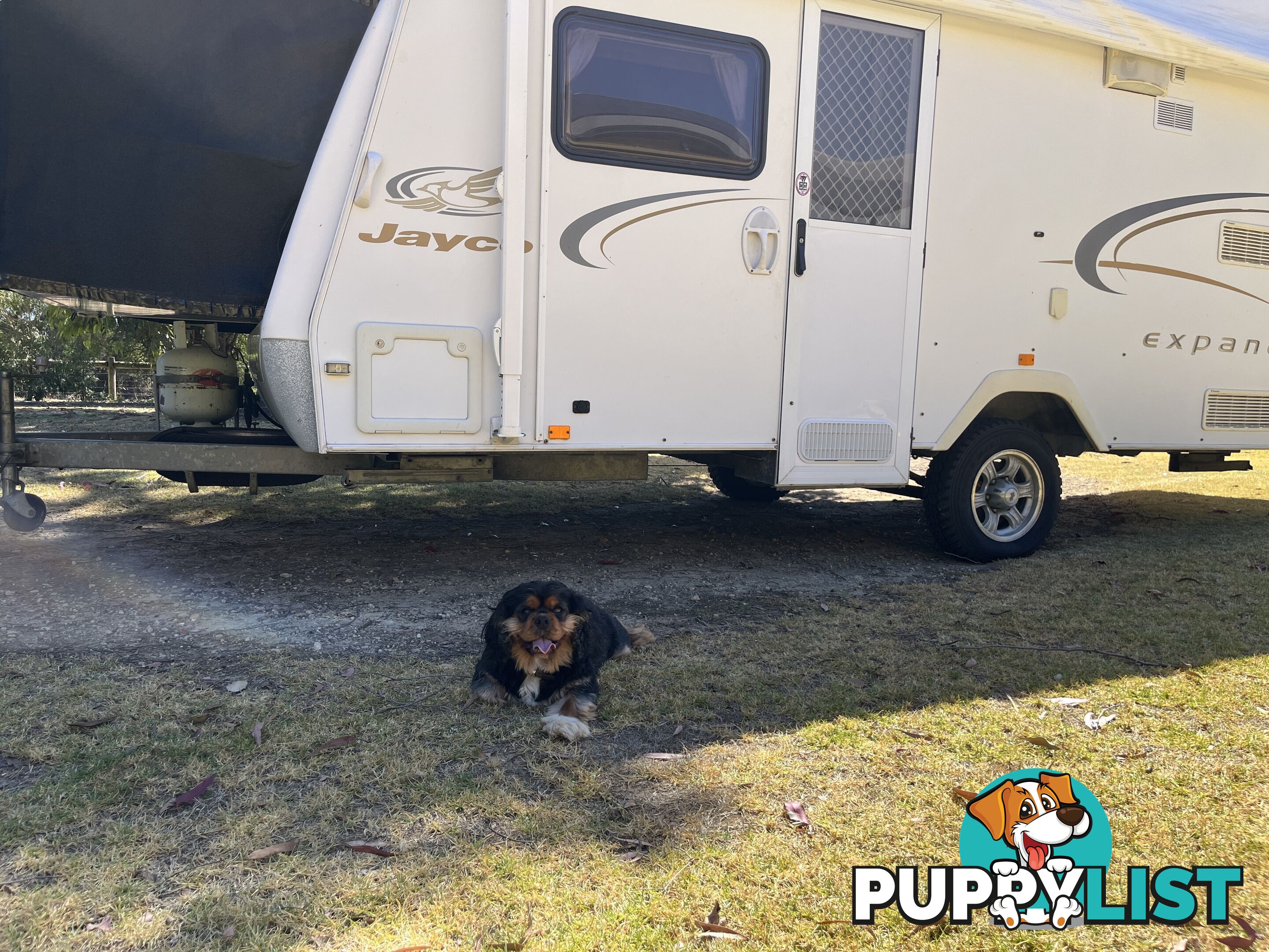2008 Jayco EXPANDA