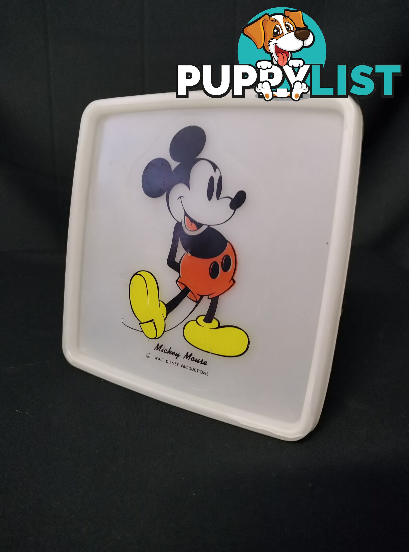 Mickey Mouse container