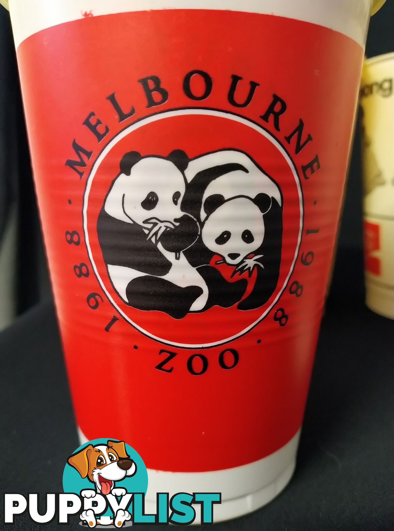 Zoo Cups