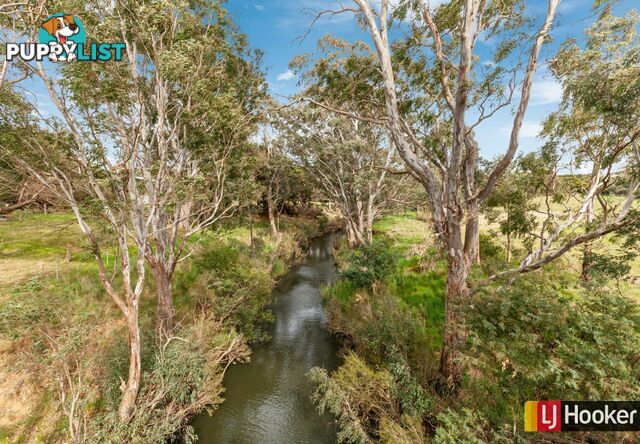 11A Aungiers Lane DARRAWEIT GUIM VIC 3756