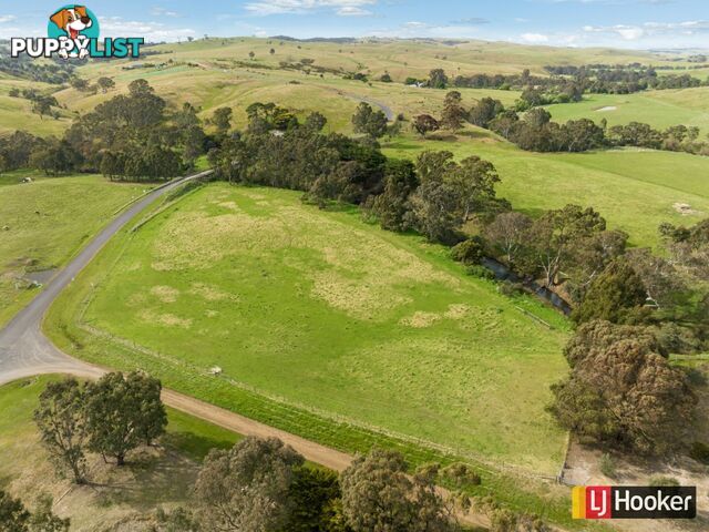 11A Aungiers Lane DARRAWEIT GUIM VIC 3756