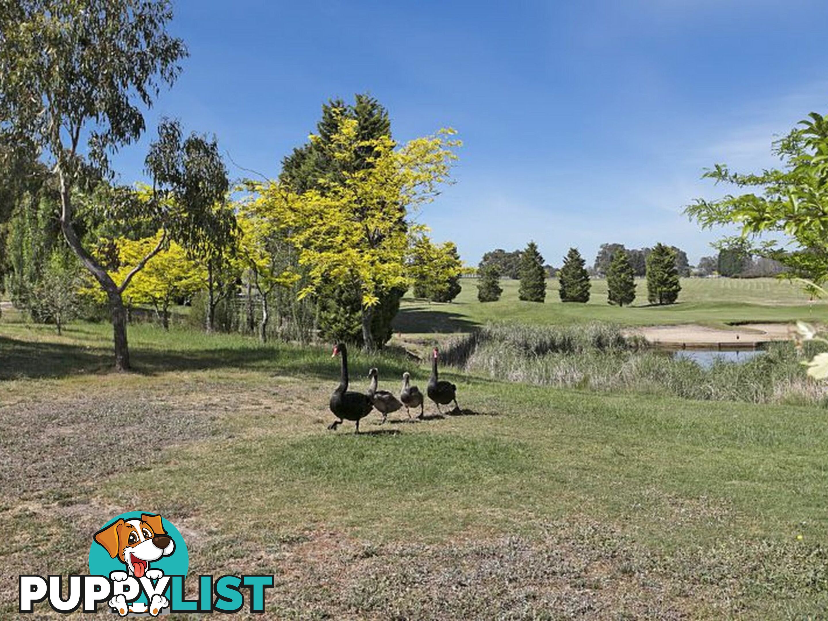 37 Craig Parry Drive HIDDEN VALLEY VIC 3756