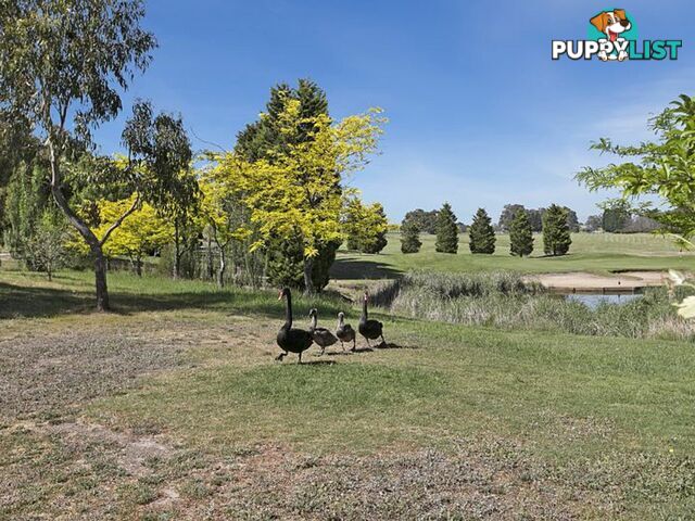 37 Craig Parry Drive HIDDEN VALLEY VIC 3756