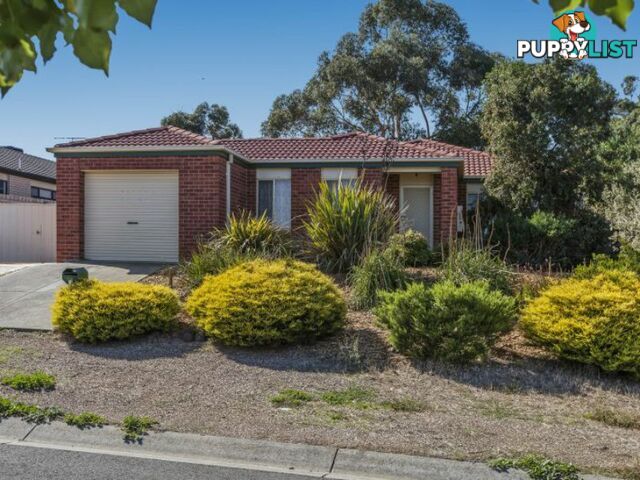 8 Thomas Place WALLAN VIC 3756