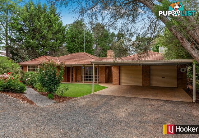 49 North Mountain Road HEATHCOTE JUNCTION VIC 3758