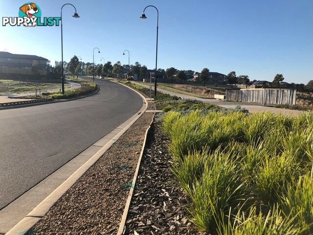 Lot 608 Lavender Court WALLAN VIC 3756