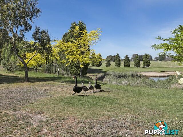 22 Aurina Drive HIDDEN VALLEY VIC 3756