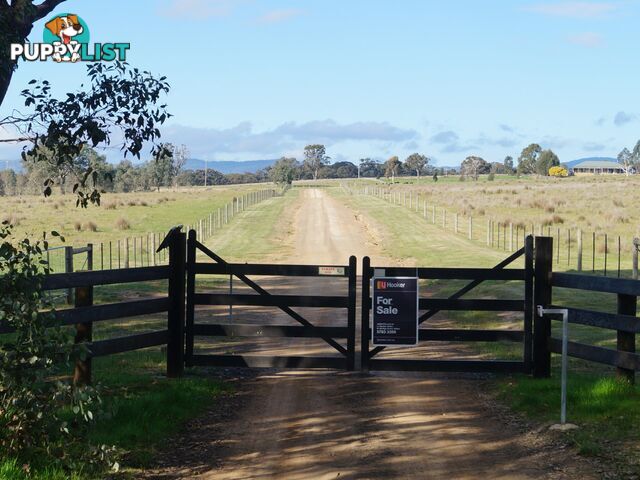 370 Selection Road SUGARLOAF CREEK VIC 3658