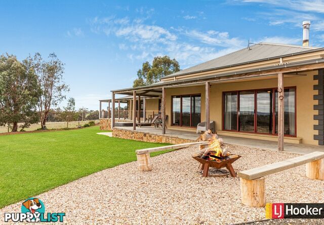 370 Selection Road SUGARLOAF CREEK VIC 3658