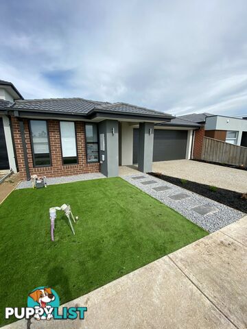 13 Ringtail Place BEVERIDGE VIC 3753