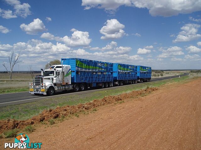 Type 2 Road Trains & AB Quads