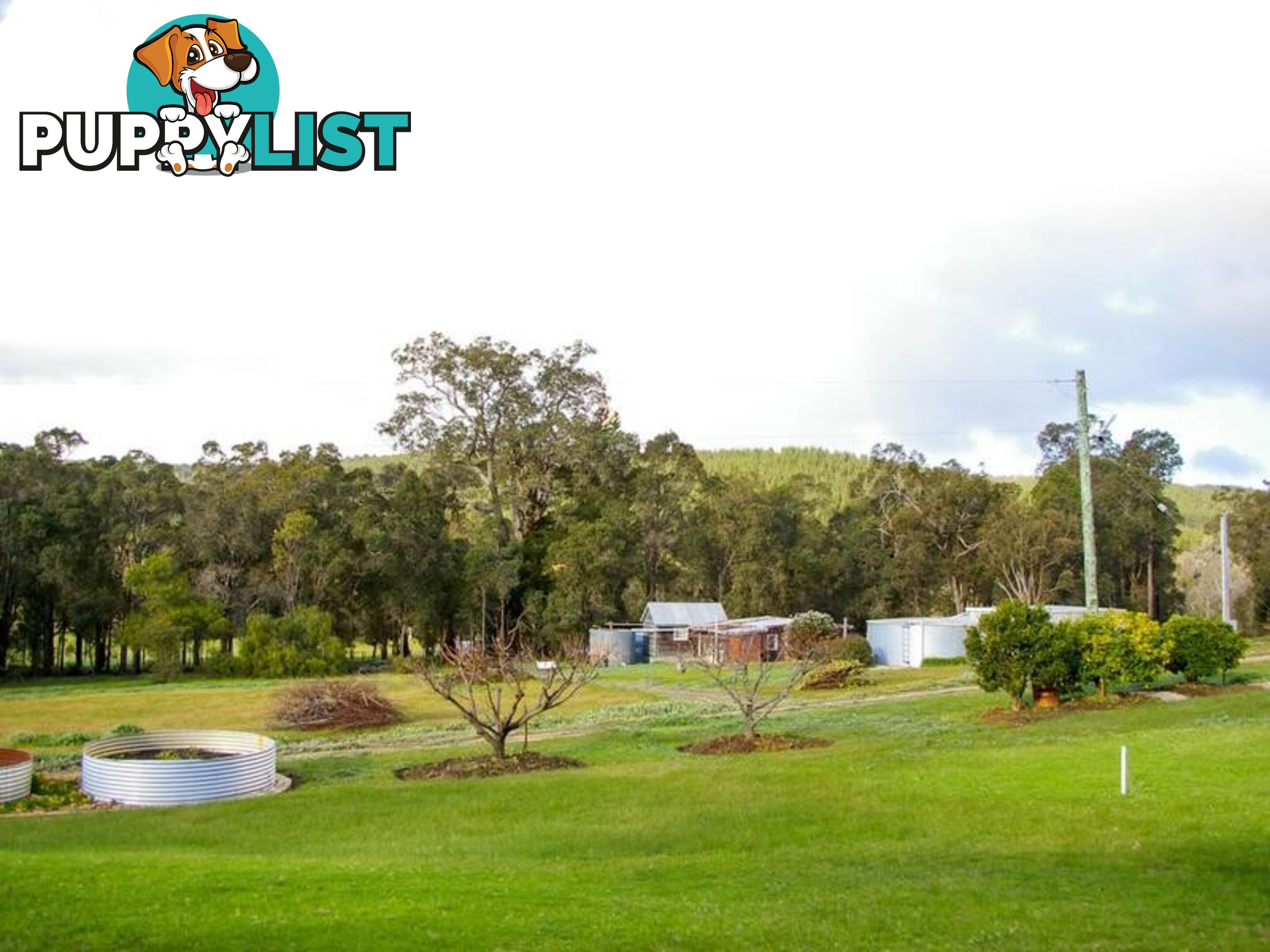 1 East Nannup Road NANNUP WA 6275