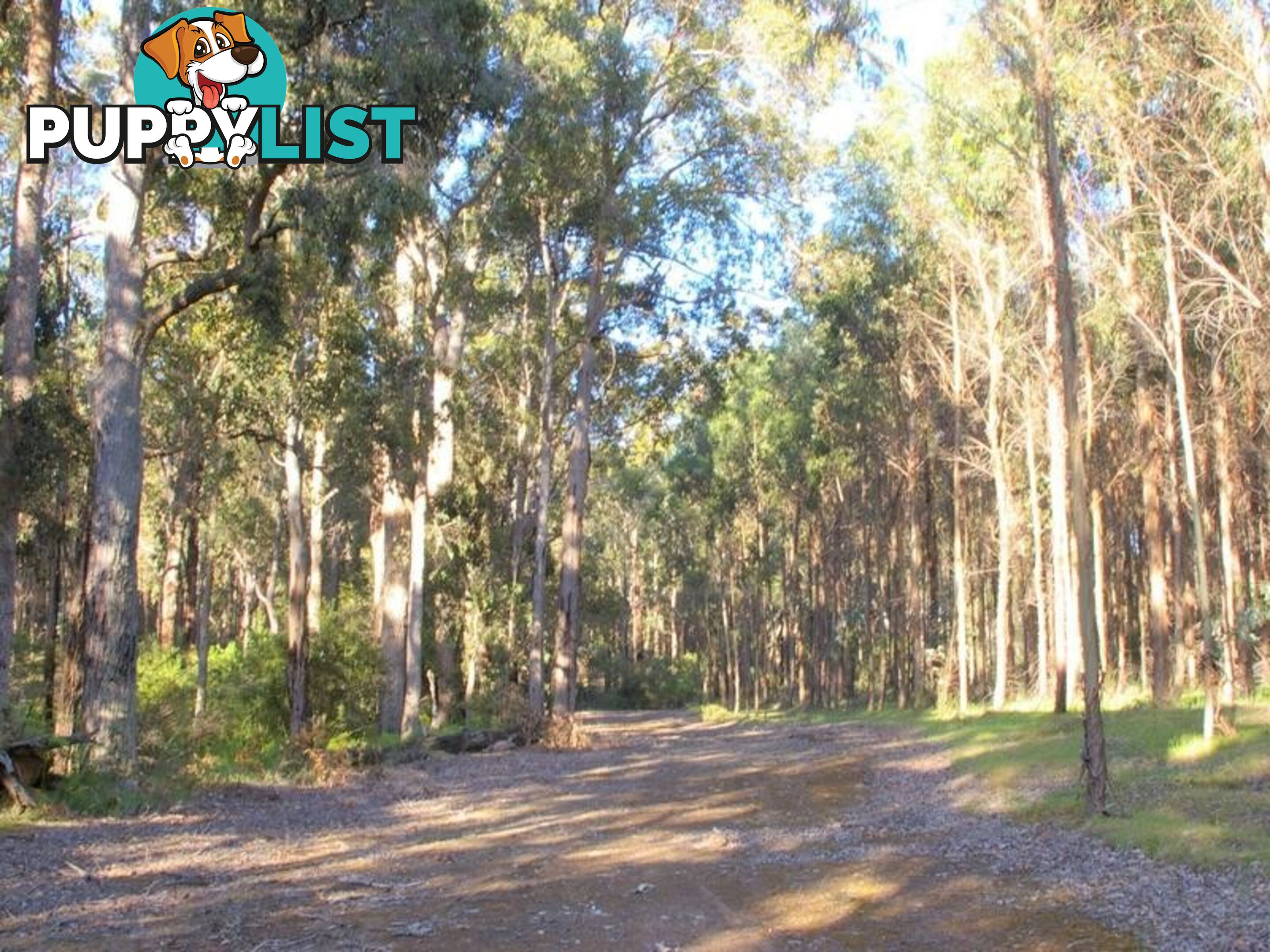 11189 Mount Lewin Loop Road NANNUP WA 6275