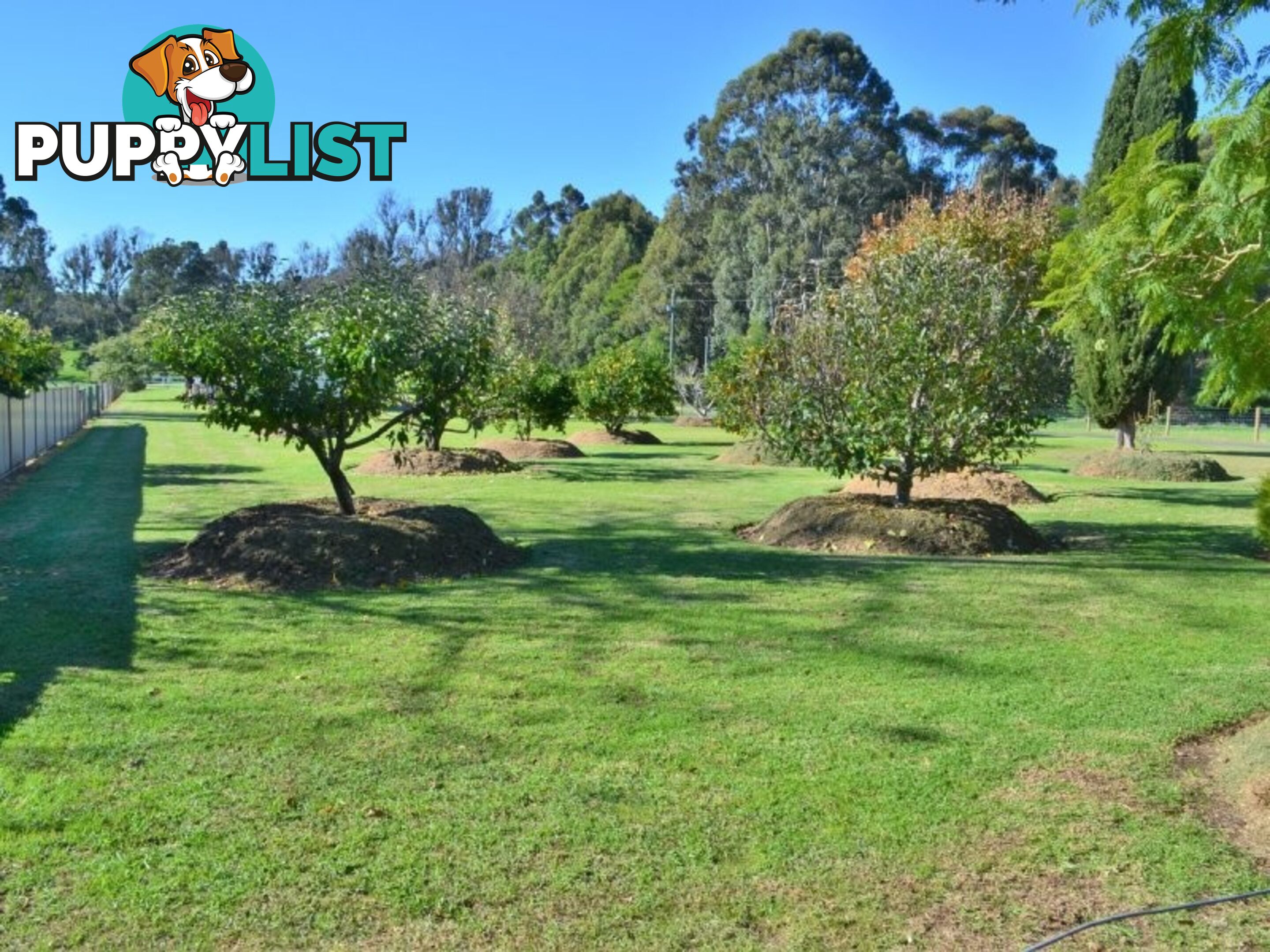 Lot 2 East Nannup Road NANNUP WA 6275