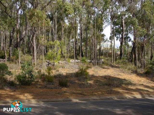 703 Struthers Street NANNUP WA 6275