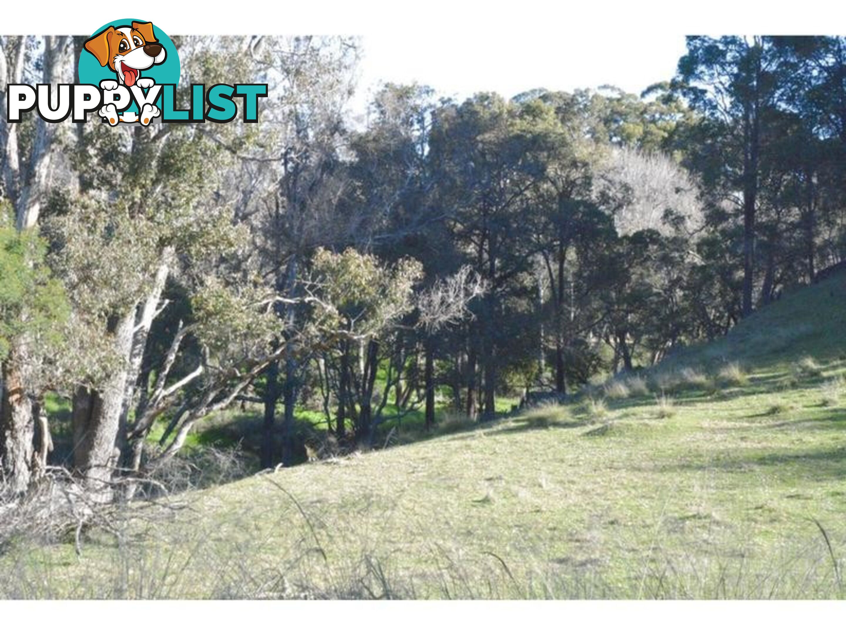 140 Vasse Highway NANNUP WA 6275