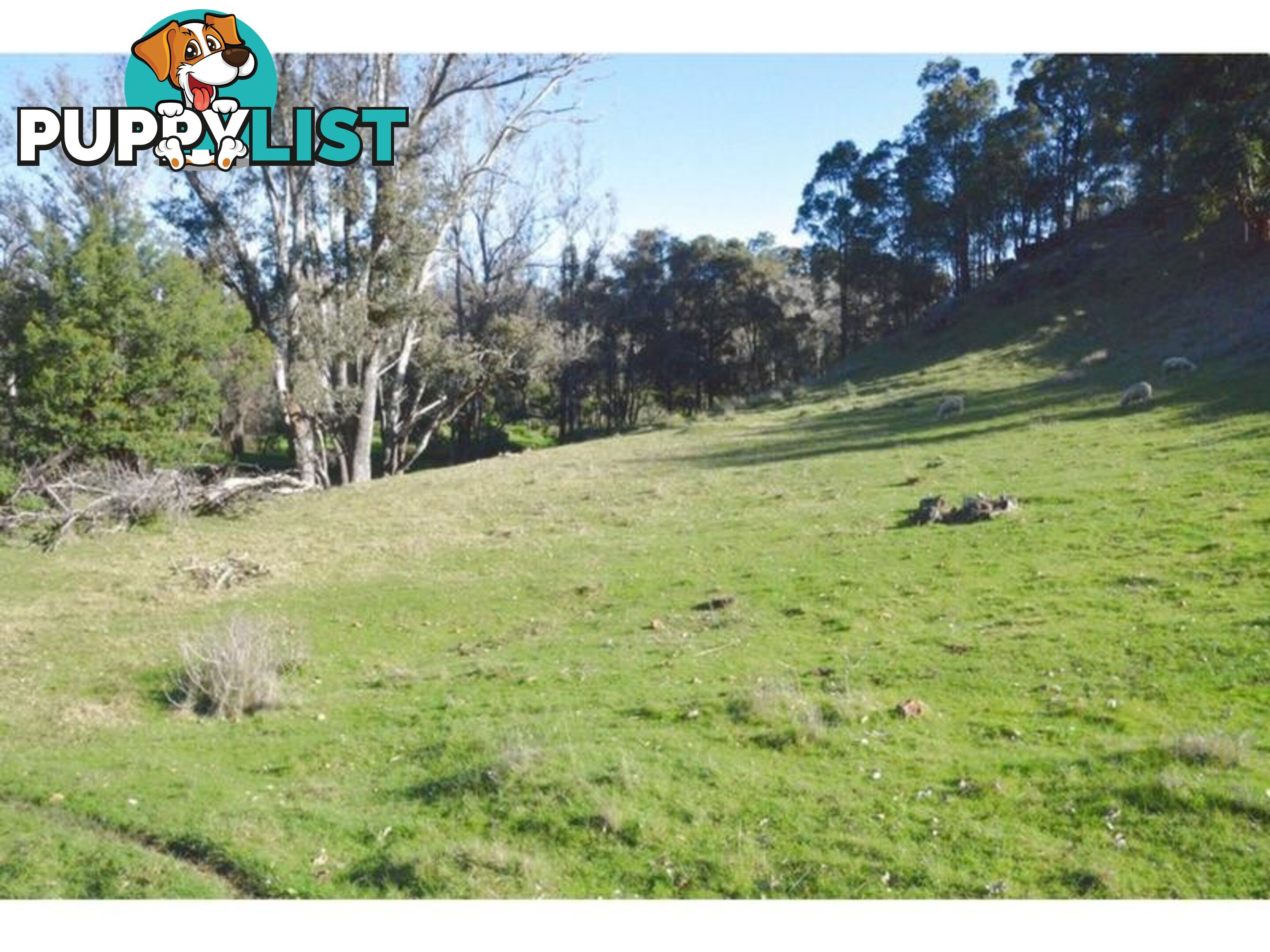 140 Vasse Highway NANNUP WA 6275